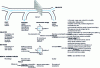 Figure 13 - Possible approaches to integrating environmental and human health monitoring [28].