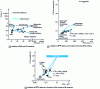 Figure 13 - Nitrogen balance in the Île du Chambon alluvial aquifer [30]