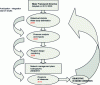 Figure 2 - Technical stages of the Water Framework Directive