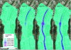 Figure 8 - Simulating the fate of a pollutant in a watercourse [39]