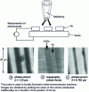 Figure 11 - Near-field study of metal/semiconductor junctions [41] (Personal communication from S. Davy and M. Spajer)