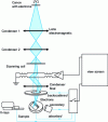 Figure 1 - Principle of a scanning electron microscope