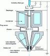 Figure 23 - Cross-section of the Gemini column (Zeiss), showing the position of the ring-shaped detector for "true" secondary electrons (Zeiss document)