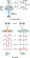 Figure 25 - Example of an annular diode backscatter electron detector (two-sector model)