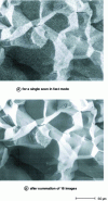 Figure 31 - Rapid scan observation of brittle fracture in steel