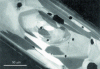 Figure 13 - Cathodoluminescence observation showing the stages of crystal growth (doc. FEI)