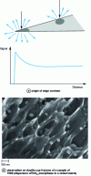 Figure 3 - Edge contrast