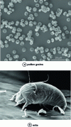 Figure 41 - Environmental chamber microscopy of biological objects