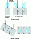 Figure 11 - Origin of type I and II magnetic contrasts