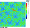 Figure 14 - X-ray spectrometry image of silicon distribution in a steel solidification dendritic structure, showing qualitative silicon segregation.