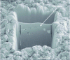 Figure 33 - Example of FIB microscope application to prepare thin slides for transmission electron microscopy (EDF R document)