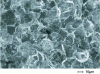 Figure 36 - Observation of an intergranular brittle fracture surface in steel