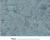 Figure 37 - Observation of a shot-blasted surface of a titanium alloy