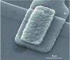 Figure 40 - Observation of an electrical contact in an electronic microcircuit