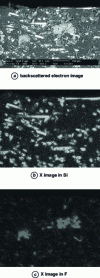 Figure 26 - Microanalysis of a reinforced polymer alloy (document A. Jadin, CERTECH)