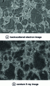 Figure 27 - Microanalysis of an osmium-labeled polyphase polymer (document A. Jadin, CERTECH)