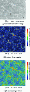 Figure 8 - X-ray maps of an alloy steel, showing a solidification structure. X-ray maps are shown in false color as a function of measured X-ray intensity....