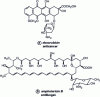 Figure 15 - Structure of doxorubicin and amphotericin B