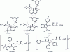 Figure 16 - Structure of hydroxymethylglutaryl coenzyme A reductase inhibitors