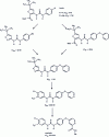 Figure 18 - Inhibitory concentrations 50 IC50 of the various compounds that led to the discovery of sorafenib