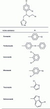 Figure 19 - Structure of some local antifungals