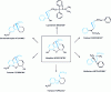 Figure 21 - Structures of active ingredients with a phenylpiperidine skeleton