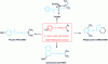 Figure 27 - Active ingredient structures with a backbone for local anaesthetic properties