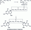 Figure 35 - Molecular mechanism of action of nitrogen mustards