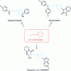 Figure 36 - Structure of active ingredients with a butyl piperidine skeleton
