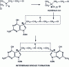 Figure 44 - Molecular mechanism of action of nitrogen mustards