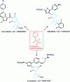 Figure 48 - Structures of active ingredients with an N-phenylsulfonamide skeleton