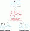 Figure 51 - Structures of active ingredients with an N-piperidinyldione isoindolinone skeleton