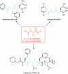 Figure 52 - Active ingredient structures with a glycinamide or alaninamide backbone