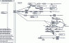 Figure 8 - Description of a signaling pathway in KEGG with nodes (rectangles) and edges representing activation or inhibition (source: Kanehisa Laboratories).