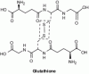 Figure 13 - Disulfide bridge in the dimeric structure
of oxidized glutathione