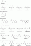 Figure 2 - General amino
acid structures