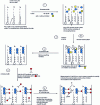 Figure 4 - Principle of Innovagen's Retrosys kit