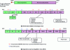 Figure 1 - Genome translation and proteolysis of viral polyproteins in Flaviviridae(based on a paper by S. Bressanelli and J. Lescar, with permission)