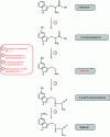 Figure 23 - Serotonin and melatonin synthesis pathways