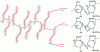 Figure 8 - Structure of the glycosaminoglycans that make up proteoglycans