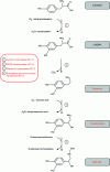 Figure 20 - Cathecolamine synthesis route