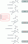 Figure 20 - Cathecolamine synthesis route