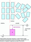 Figure 11 - Schematic representation of the interface zone between crystal and liquid