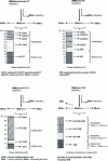 Figure 4 - Representation of the fate of target molecules in human metabolism