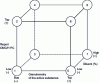 Figure 3 - Schematic representation of the experimental design