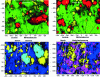 Figure 8 - Identification of different tablet formulations of identical appearance by chemical Raman imaging (after [29])