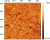 Figure 3 - Mapping of "hot spots" on a LaAlO3 thin-film surface obtained by AFM's TUNA mode [7].