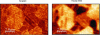 Figure 42 - Topography (10 nm scale) and surface
potential (40 mV scale) of a polycrystalline copper film