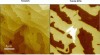 Figure 43 - Topography (25 nm scale) and surface
potential (800 mV scale) of graphene layers on SiC