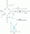 Figure 7 - Four-diode sample gate